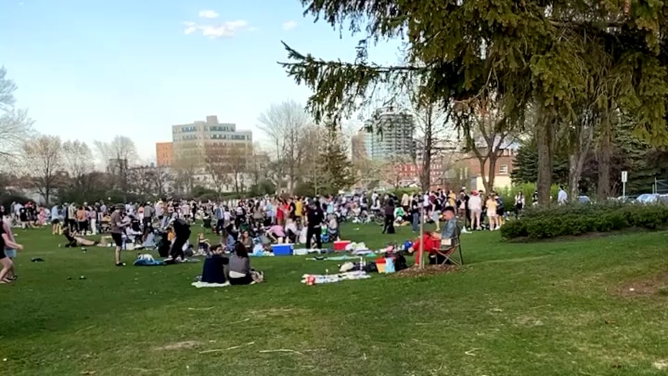 Une foule rassemblée au parc.