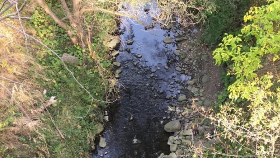 Le ravin Massey Creek