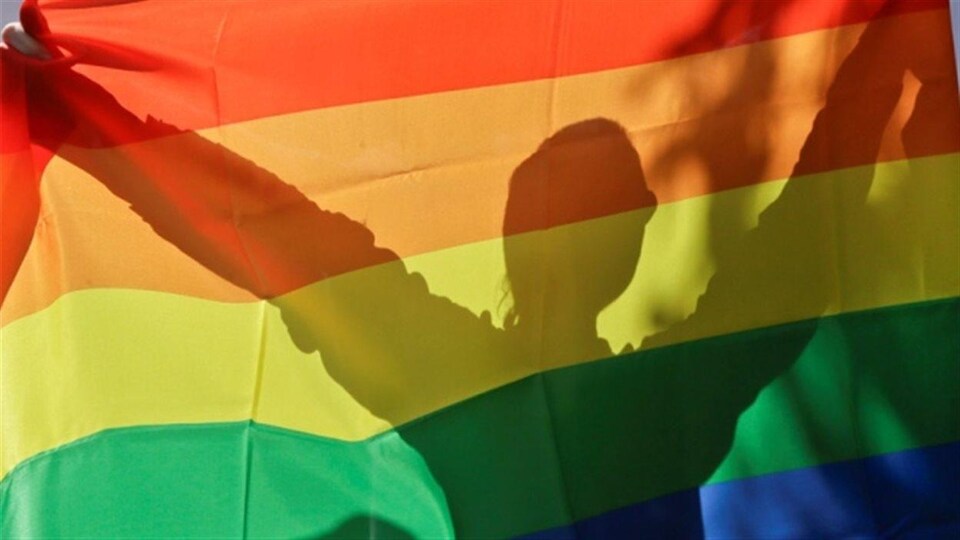 Le drapeau arc-en-ciel de la fierté LGBTQ, évoquant  paix,diversité et harmonie.