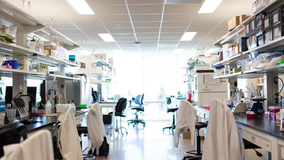 Des sarraus blancs sur des chaises dans un laboratoire de médecine.