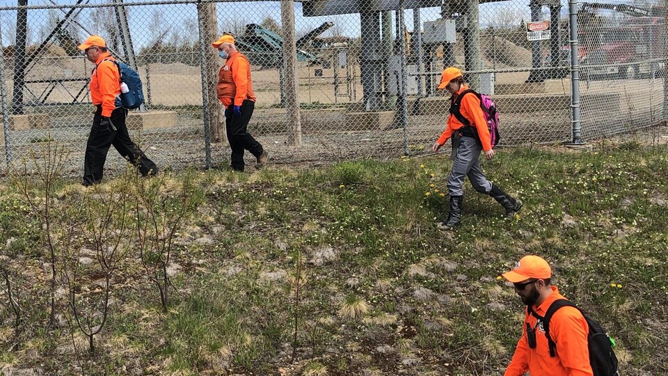 Quatre personnes ratissent un terrain près de la route 11 à Bathurst.