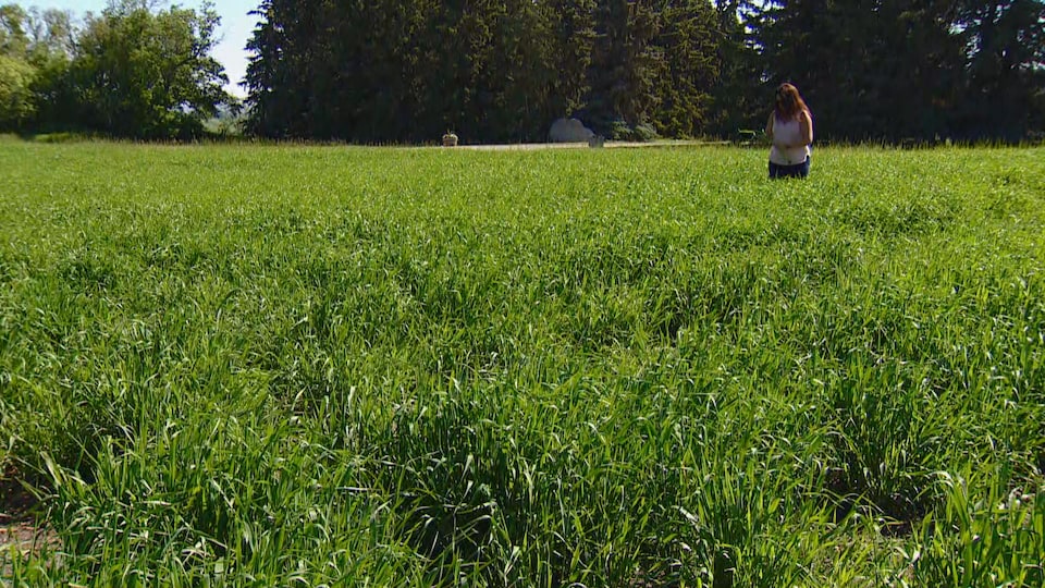 Photo d'une agricultrice dans un champ prise le 27 juin 2022 à Acme en Alberta.