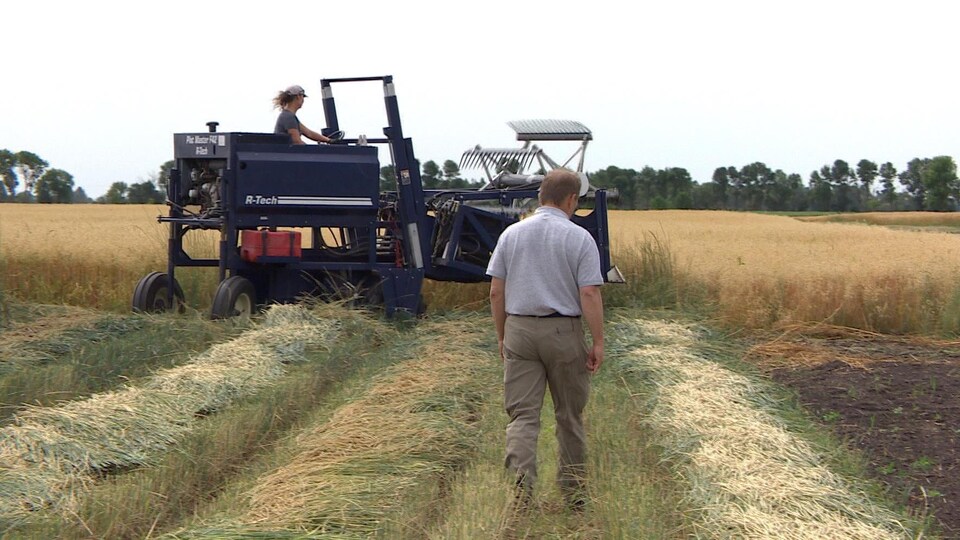 Des agriculteurs dans un champ.