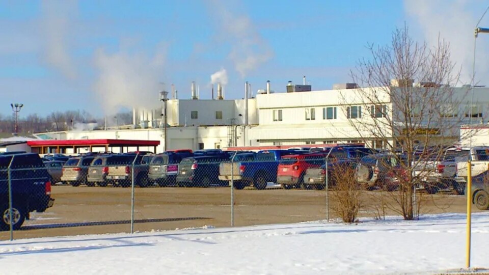Des voitures stationnées devant l'usine Olymel à Red Deer.