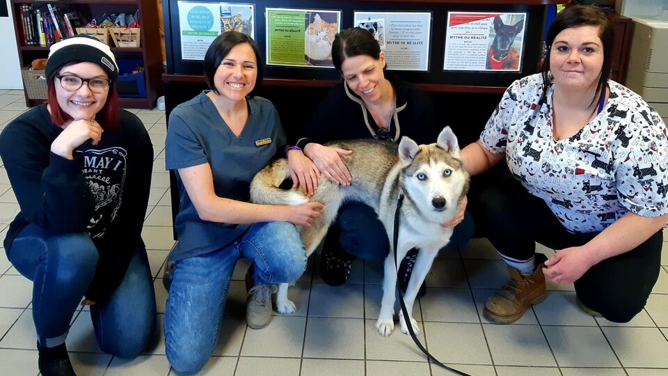 Quatre femmes sont assis à genou par terre et flattent un chien.