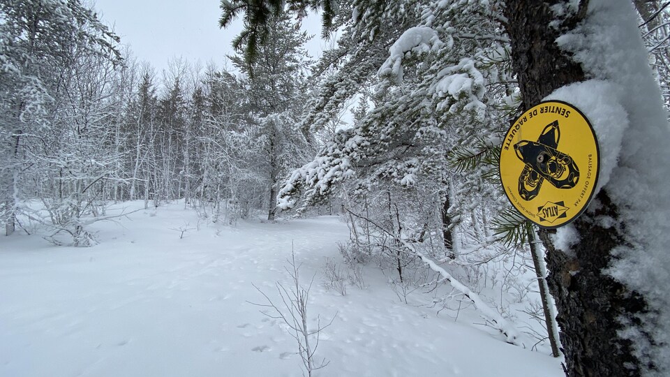 เส้นทาง Snowshoe พร้อมป้ายเล็กๆ ระบุเส้นทาง