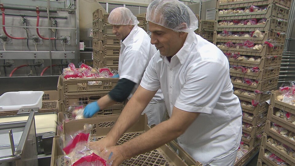 Omar Bnayan travaille à la boulangerie Fancy Pokket Corporation depuis deux mois. Il ne parle pas encore anglais, mais il suit des cours soit le matin ou l'après-midi selon son horaire de travail.