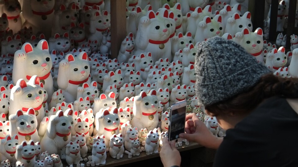 A Tokyo Un Temple De Chats Porte Bonheur Attire Les Adeptes D Instagram Radio Canada Ca