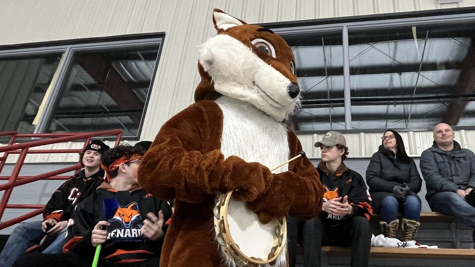 Une personne déguisée en renard. 