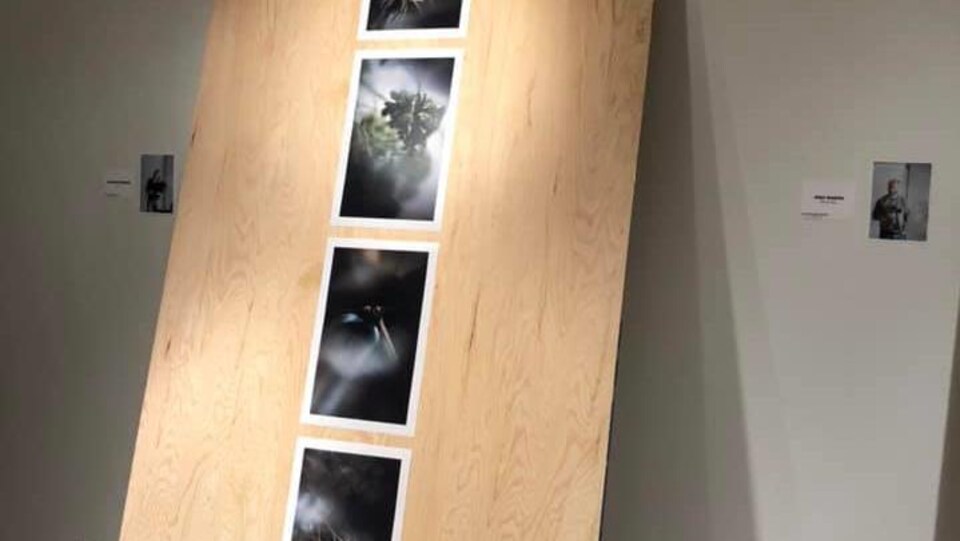 Cinq photographies de pousses vertes sur un fond sombre. 