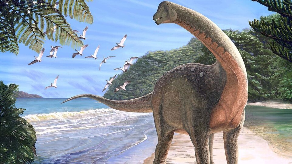 Représentation artistique d'un Mansourasaurus shahinae