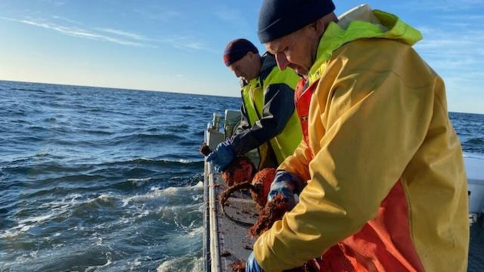 Des hommes à bord d'un bateau se préparent à lancer des outils d'analyse à l'eau.