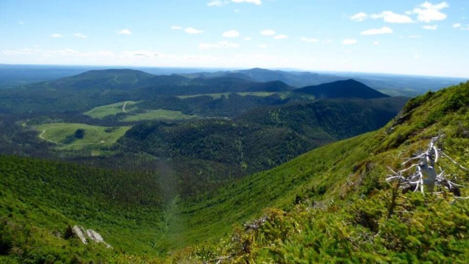 La réserve faunique de Matane.