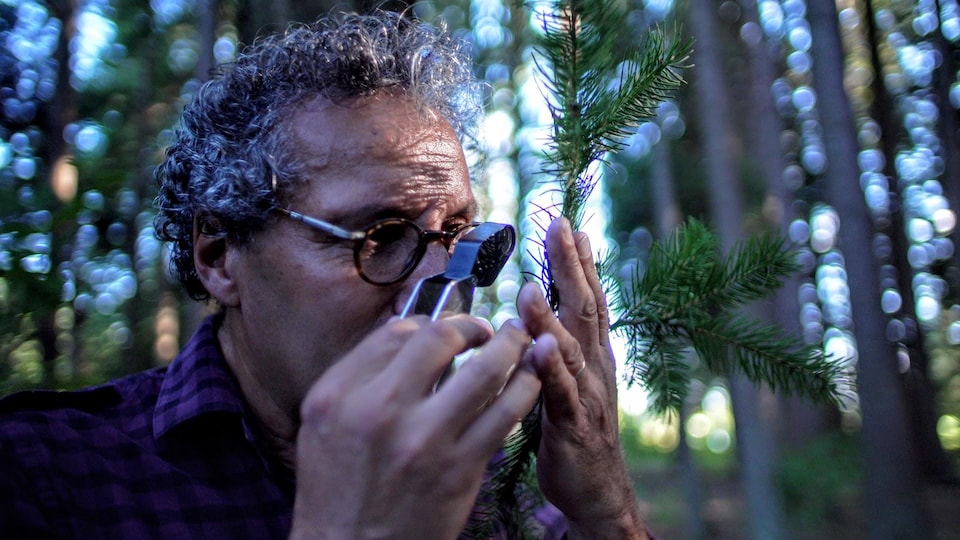 Richard Hamelin regarde une branche d’arbre à la loupe.