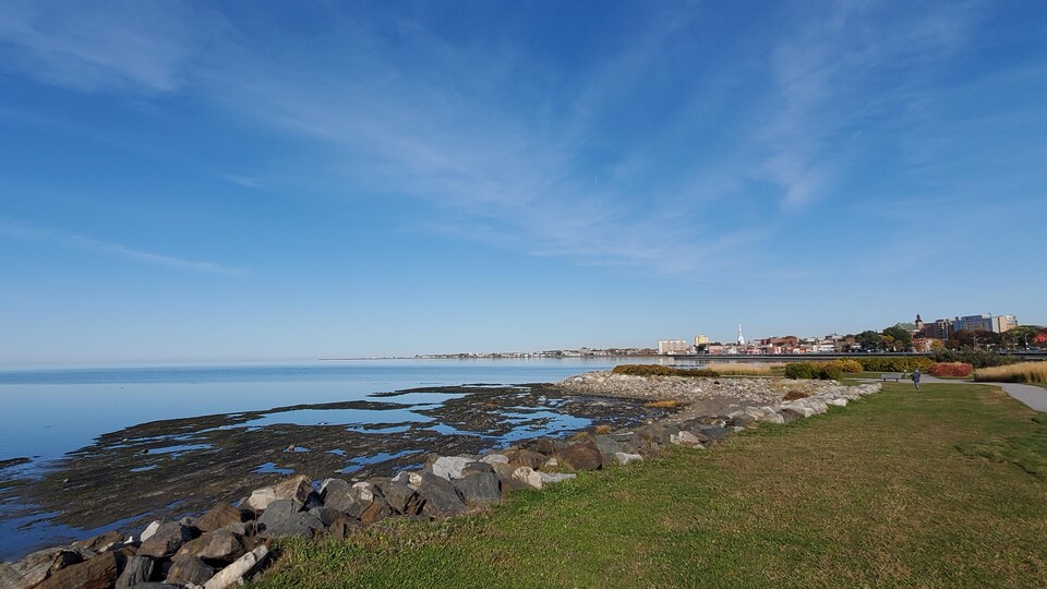 Vue sur le centre-ville qui fait face au fleuve Saint-Laurent.