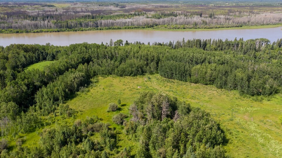 Vue en hauteur des 10 acres de terre sur lesquels sera construit le centre River Valley Resilience Retreat. On voit un terrain vague au centre entouré d'arbres avec une rivière au fond.