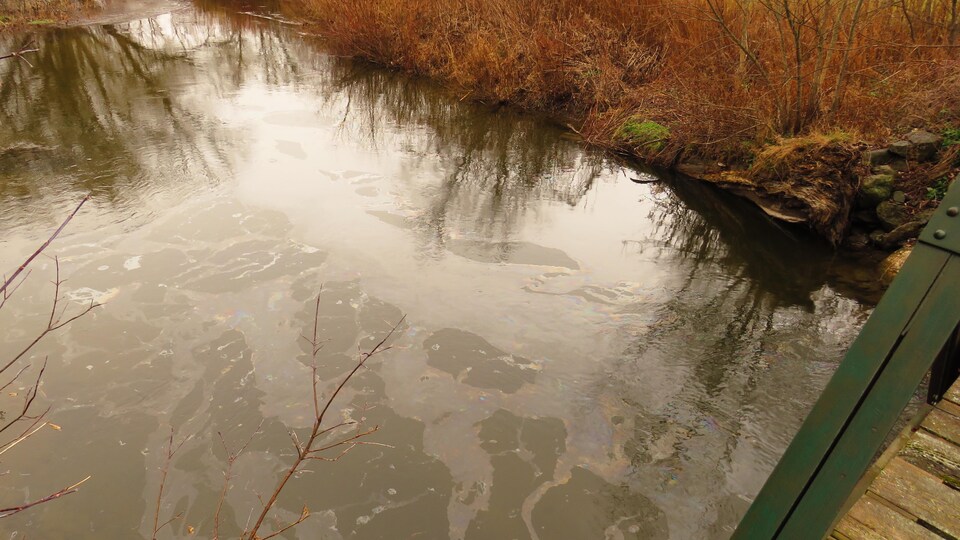 Des nappes d'hydrocarbures sont visibles à la surface de la rivière.
