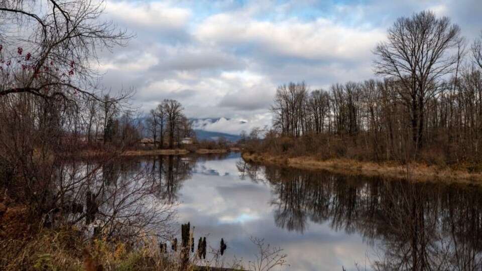 La rivière Coquitlam l'automne.