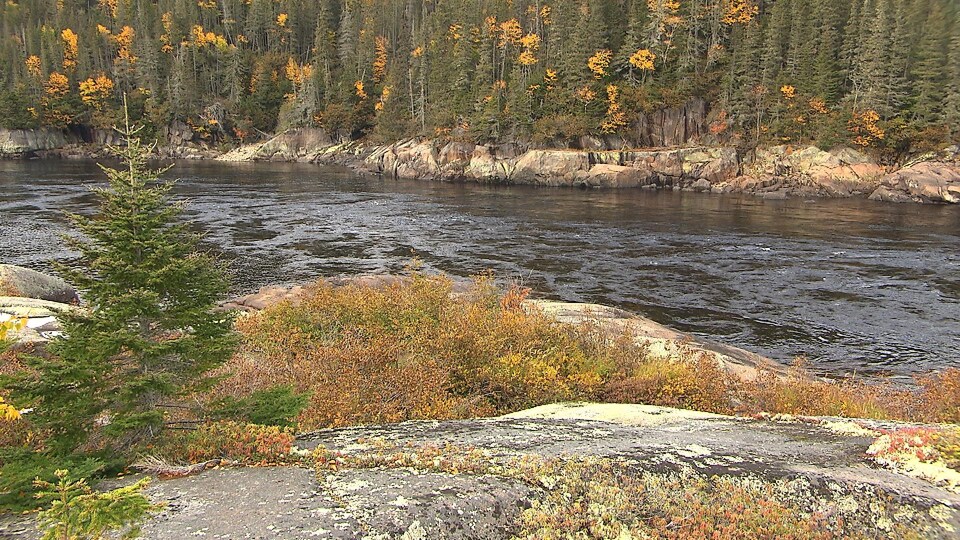 Un secteur calme de la rivière Magpie, à l'automne.