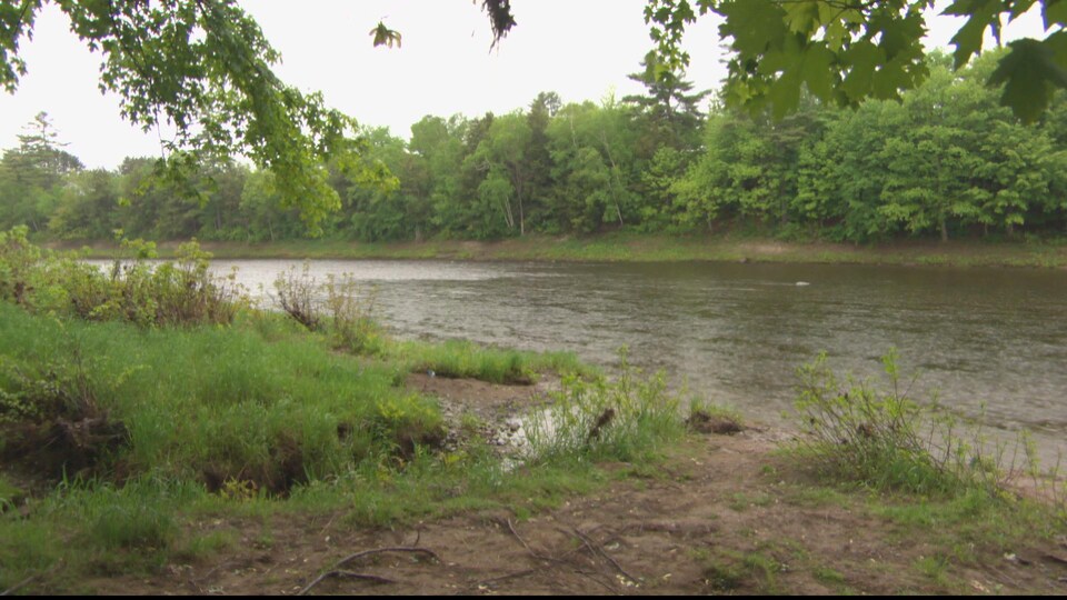 La qualité de l'eau de la rivière Nashwaak, au Nouveau-Brunswick, semble s'améliorer.