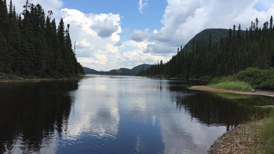 La rivière Pikauba est calme et elle a l'apparence d'un miroir.