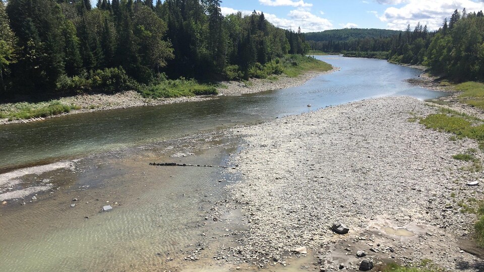 Un tournant de la rivière Restigouche