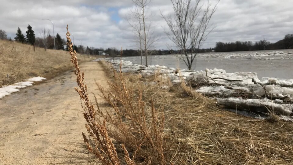 La rivière Rouge dont le niveau de l'eau atteint un chemin de gravier qui se trouve tout près.