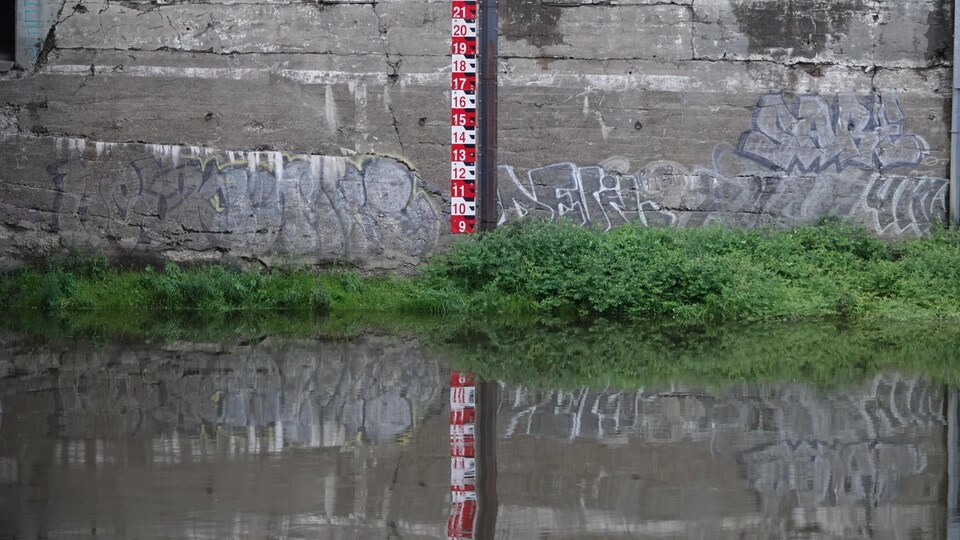 Le niveau de la rivière Saint-François à Sherbrooke.