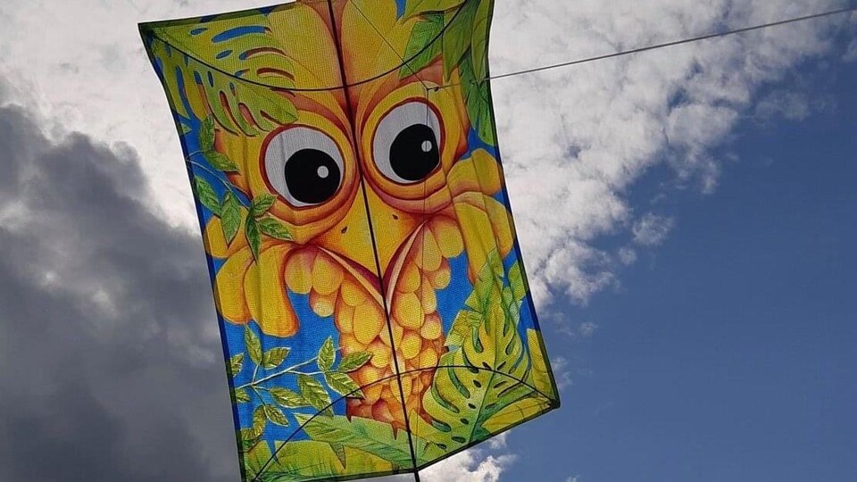 Un grand cerf-volant illustré d'un personnage fantaisiste et de verdure.