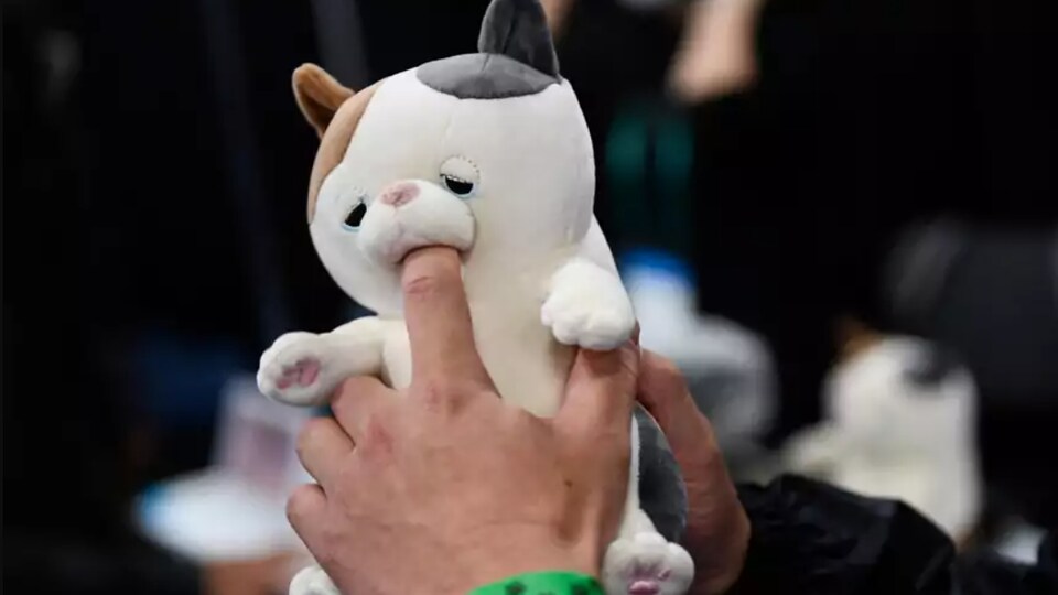 Une main place un doigt dans la gueule d'un chaton robot. 