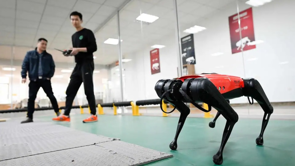 Deux hommes contrôlent un robot-chien à distance. Un des deux tient une boîte de contrôle dans ses mains.