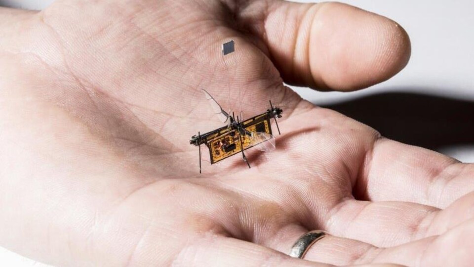 Le RoboFly dans une main.