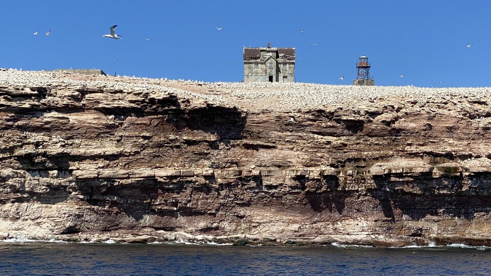 Rocher Aux Oiseaux Une Fraction Du Patrimoine Sauvee De La Demolition Radio Canada Ca