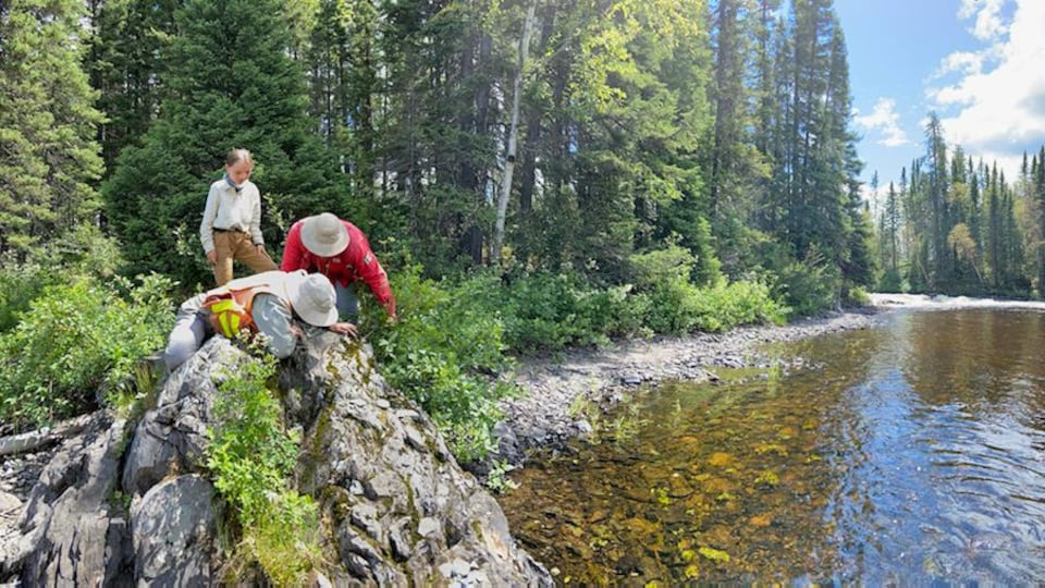 Trois personnes observent une roche sue le bord d'une rivière.