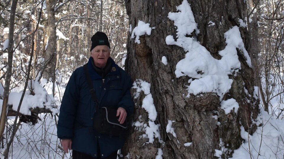 Rod O'Connell pose devant un bouleau jaune l'hiver.