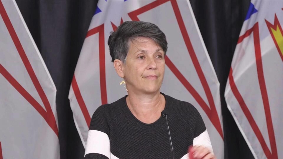 Rosann Seviour assise devant des drapeaux de Terre-Neuve-et-Labrador.