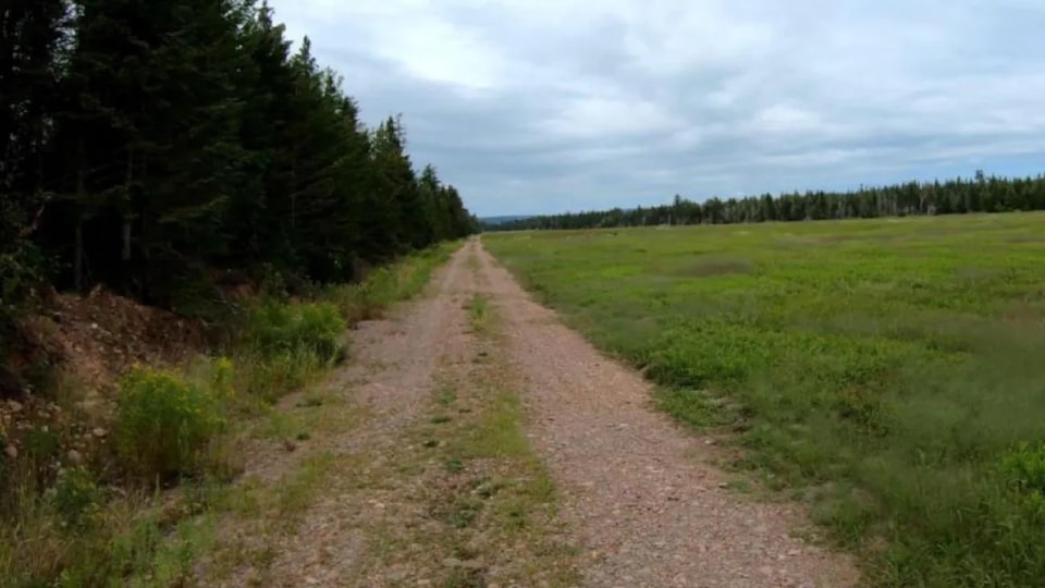 Une route de terre au bout d'un champ.