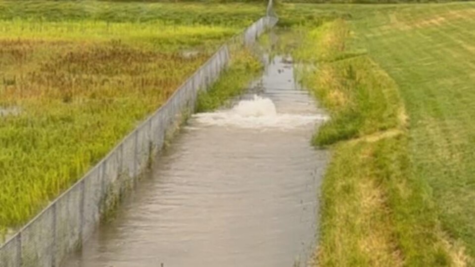 De l'eau bouillonne dans un champ.