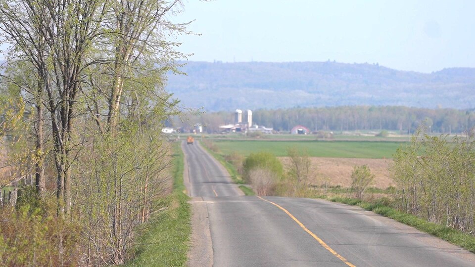 Une route droite asphaltée entourée de terres agricoles et une ferme avec des silos à grains au loin.
