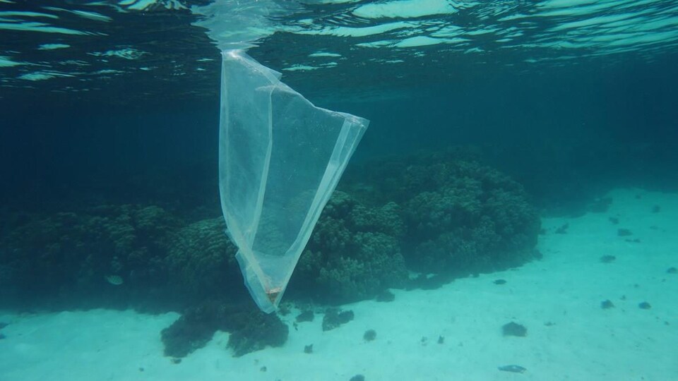 Un sac en plastique flotte dans l'océan