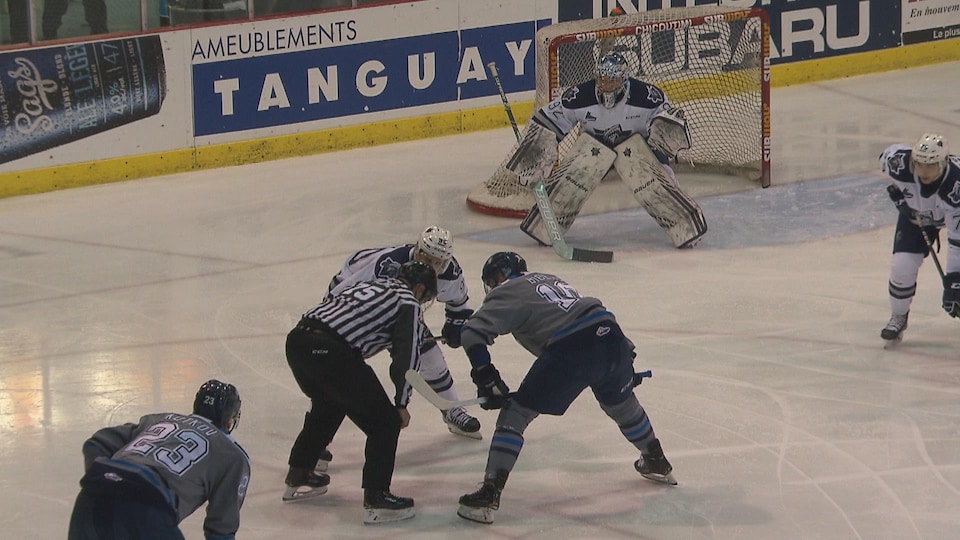 Des joueurs de hockey avant une mise au jeu.