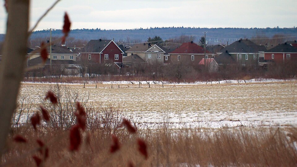 Des appuis pour freiner un projet de dézonage agricole à SaintAugustin