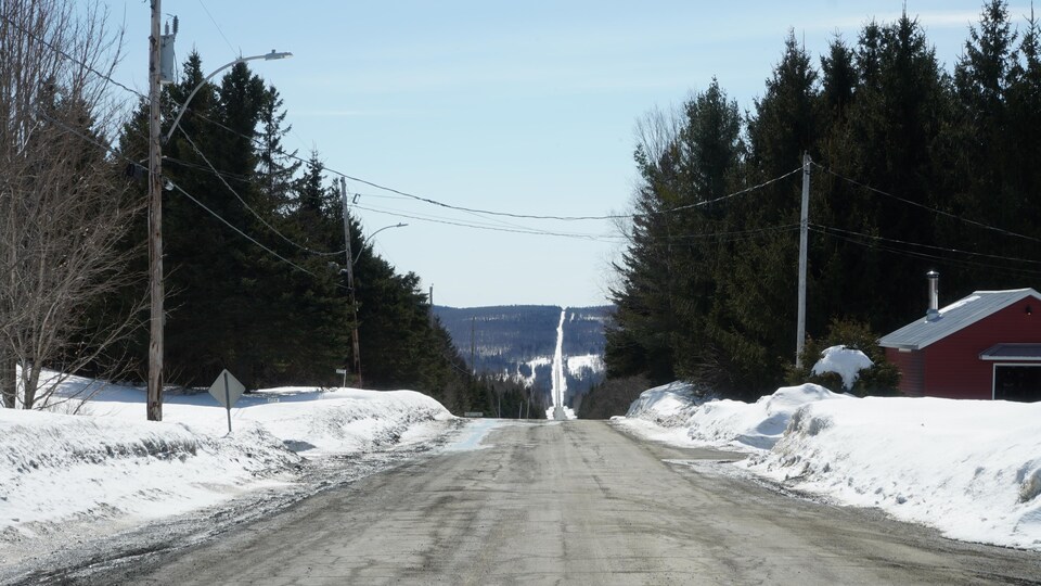 Une route pavé qui se termine au loin dans une forêt dense.