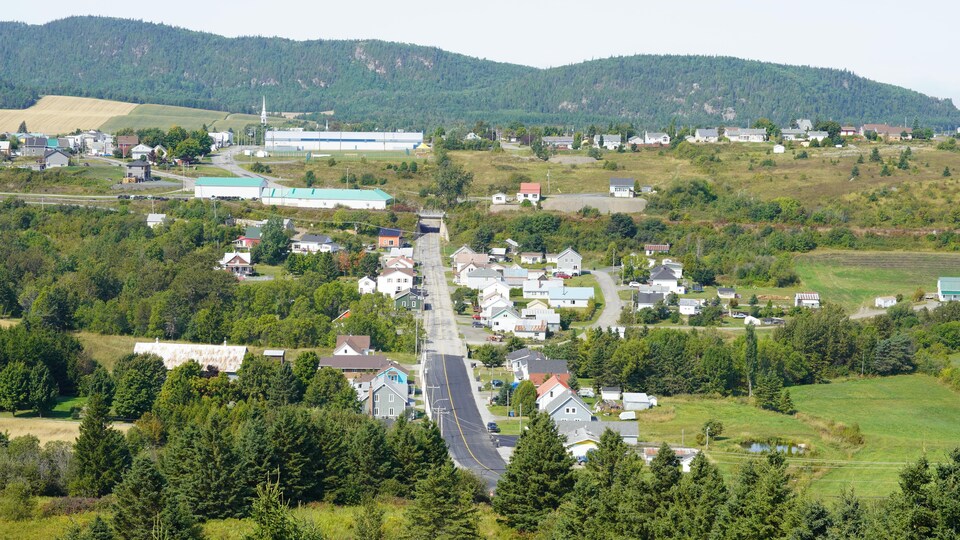 Petit guide pour le citadin qui part pour la campagne