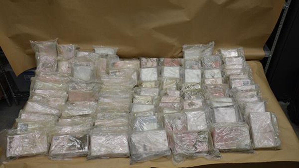 Des dizaines de briques de cocaïne.