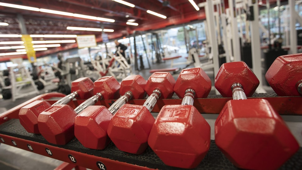 Un gymnase avec, en avant-plan, des poids.