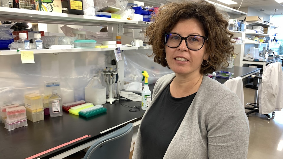 Las tasas de cáncer son más altas en el este del país