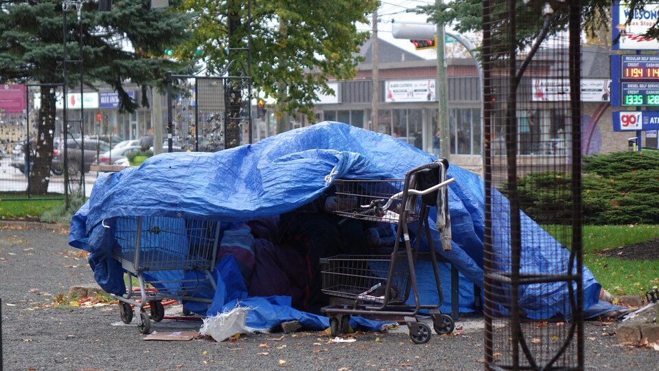 Un sans-abri sous une toile bleue tenue par des paniers d'épicerie.