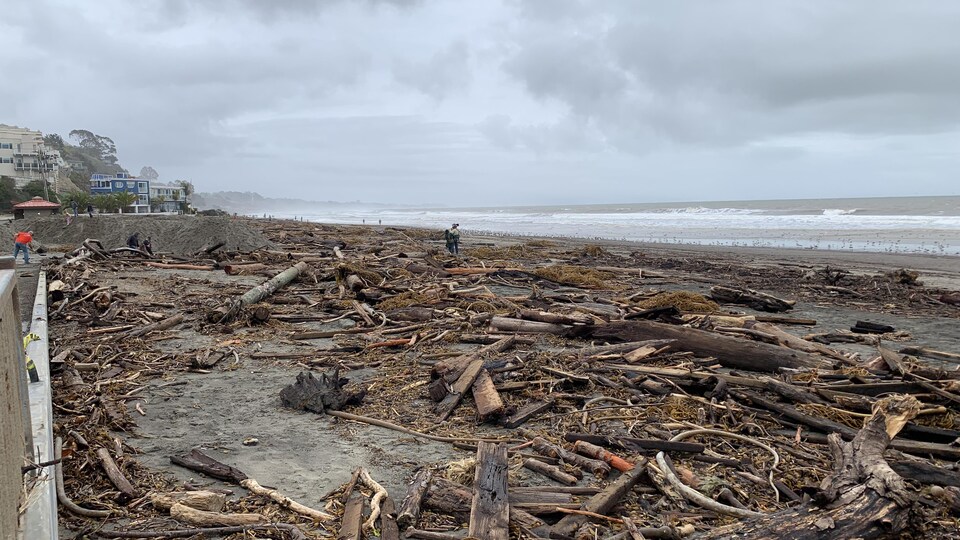 Une plage de Santa Cruz est jonchée de débris après le passage de la tempête. 