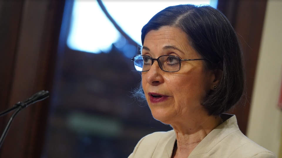 Portrait de la ministre de l'Enseignement supérieur, Danielle McCann